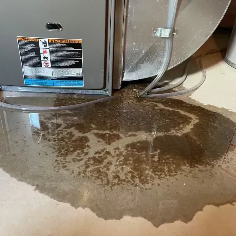 Appliance Leak Cleanup in Gallatin, MO